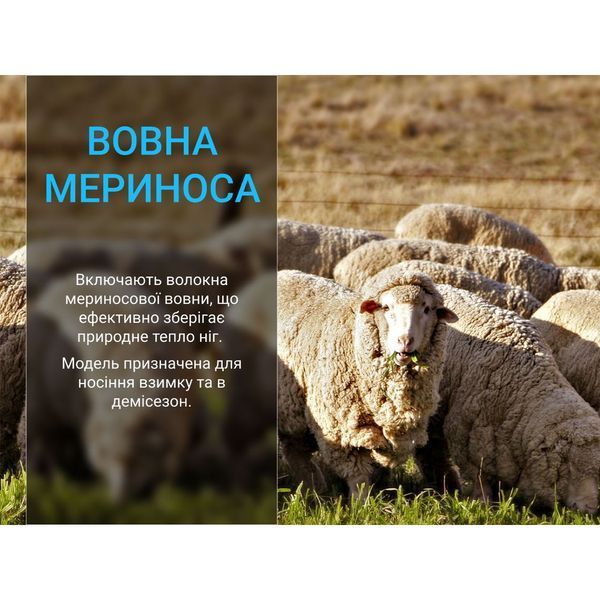 Шкарпетки Dexshell Terrain Walking 2.0 Socks, хакі, розмір XL (47-49) 66311 фото